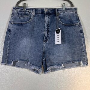 Saige brand tummy control shorts, size 3X